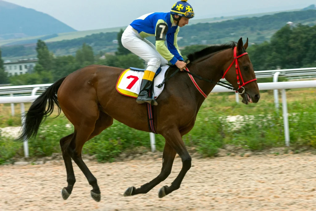 découvrez le métier de démuro jockey : ses rôles essentiels, les compétences requises et les qualités pour réussir dans cette profession passionnante du monde hippique.