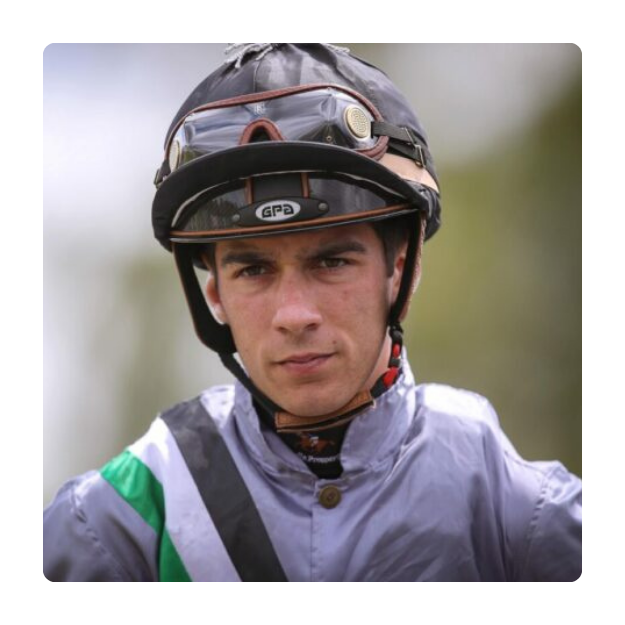découvrez le palmarès des meilleurs jockeys de 2024, avec les performances et classements des champions de la saison.
