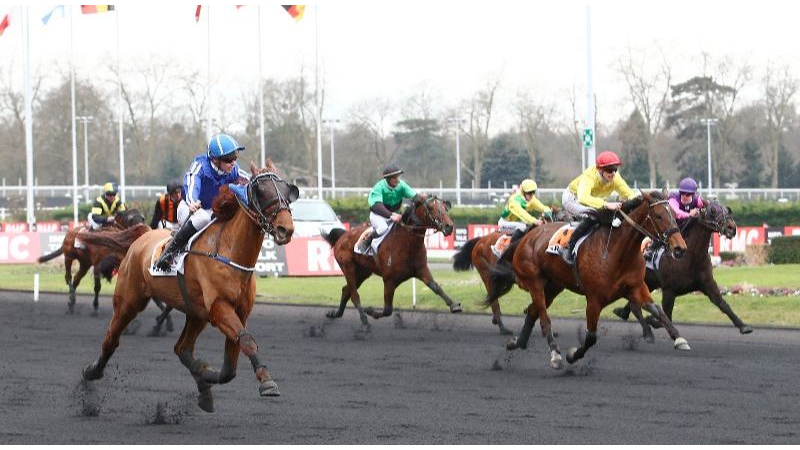 découvrez le classement des meilleurs jockeys en trot monté, leurs performances et statistiques pour suivre l'élite des courses hippiques.