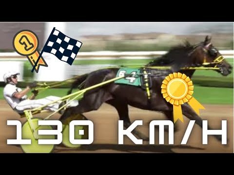 découvrez la vitesse maximale d'un cheval et les différents facteurs qui l'influencent, tels que la race, l'entraînement, l'âge et les conditions environnementales.