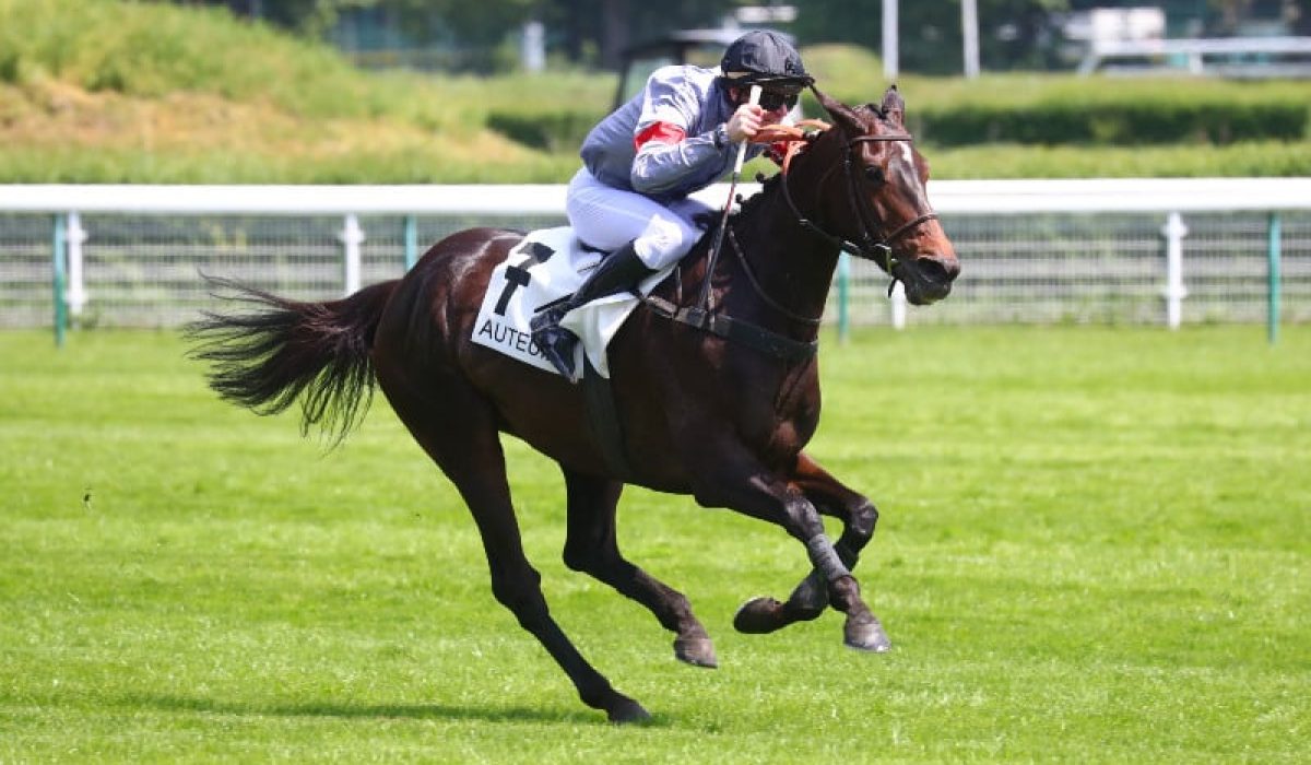 découvrez le parcours inspirant des anciens jockeys français et leurs reconversions après leur carrière sportive. témoignages, défis et réussites.