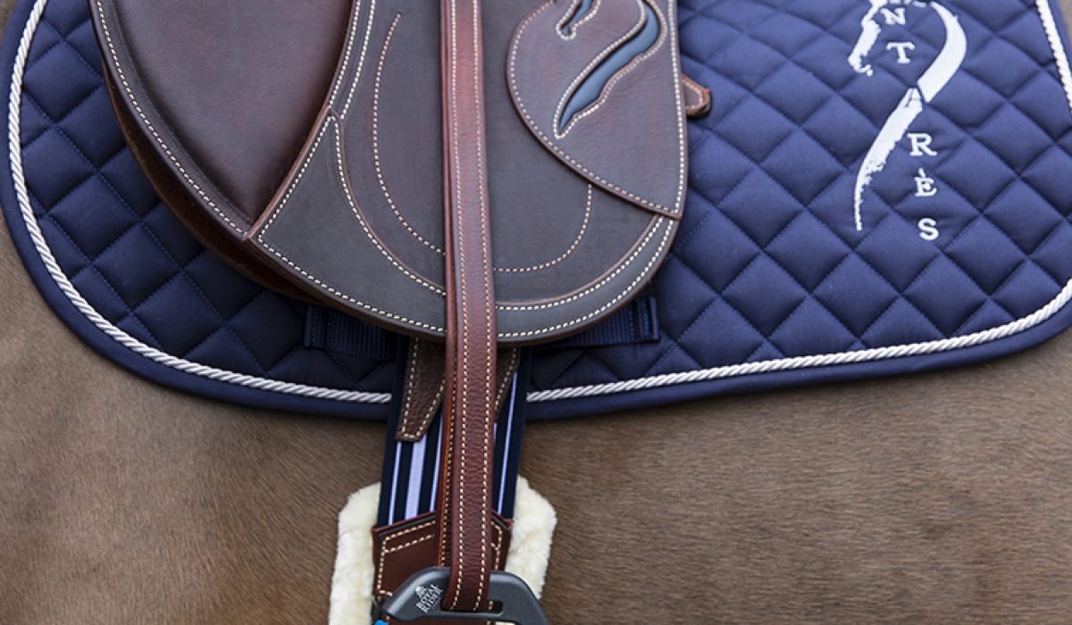 découvrez antarès sellier, l'excellence du savoir-faire français dans la création de selles haut de gamme alliant tradition, confort et performance pour cavaliers exigeants.