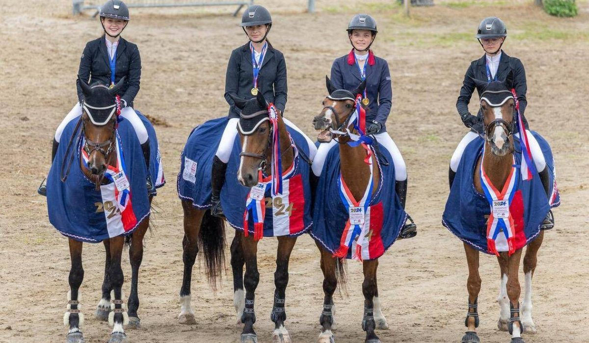 découvrez notre sélection des meilleurs centres équestres à paris pour choisir le club idéal adapté à votre niveau et vos envies d'équitation.