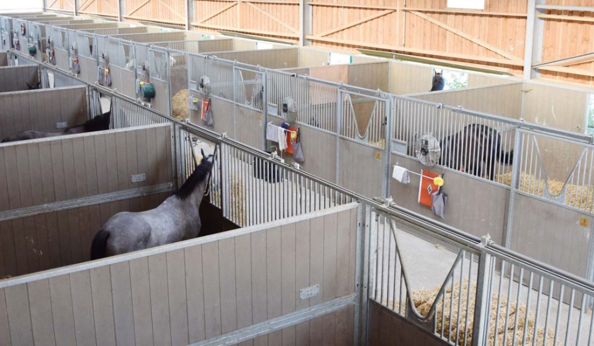 Trouver la box parfaite pour le bien-être de votre cheval