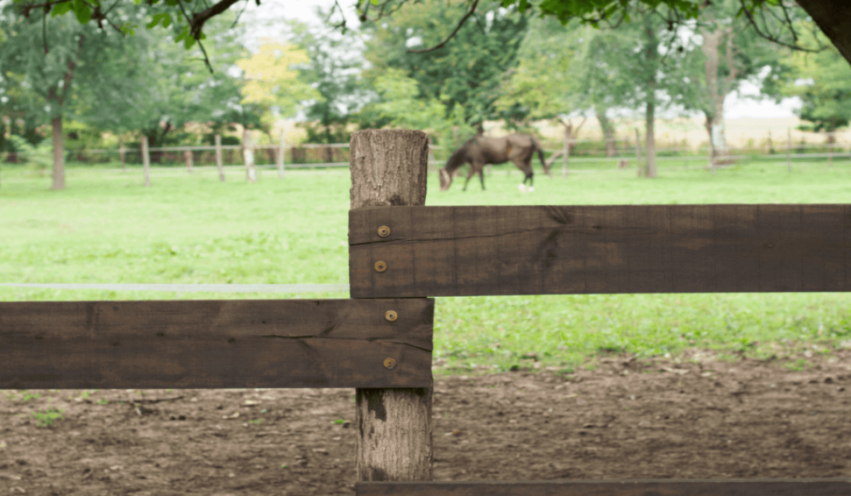 découvrez comment choisir la clôture idéale pour garantir la sécurité et le confort de vos chevaux, avec des conseils pratiques adaptés à leurs besoins.