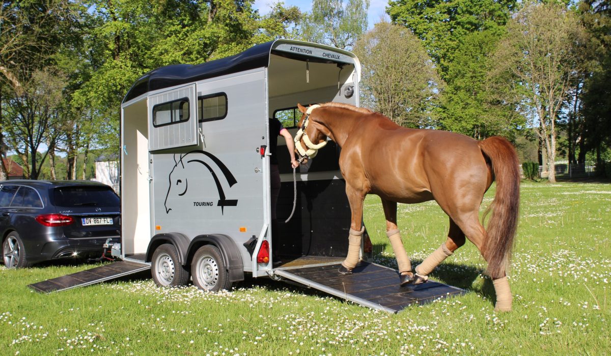 découvrez comment choisir le van idéal pour transporter vos chevaux en toute sécurité et confort. conseils pratiques et critères essentiels pour faire le bon choix.