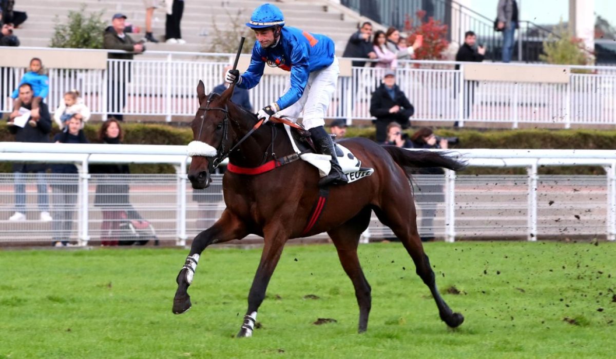 découvrez notre analyse complète du classement des jockeys spécialisés en courses de haies, accompagnée de conseils pour parier intelligemment et maximiser vos gains.