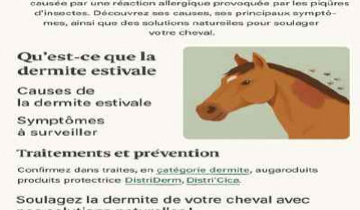 découvrez les signes et réactions de la colique chez le cheval pour intervenir rapidement et assurer son bien-être.