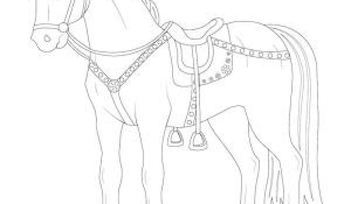 apprenez à dessiner une tête de cheval facilement grâce à notre guide pour débutants, étape par étape et astuces simples.