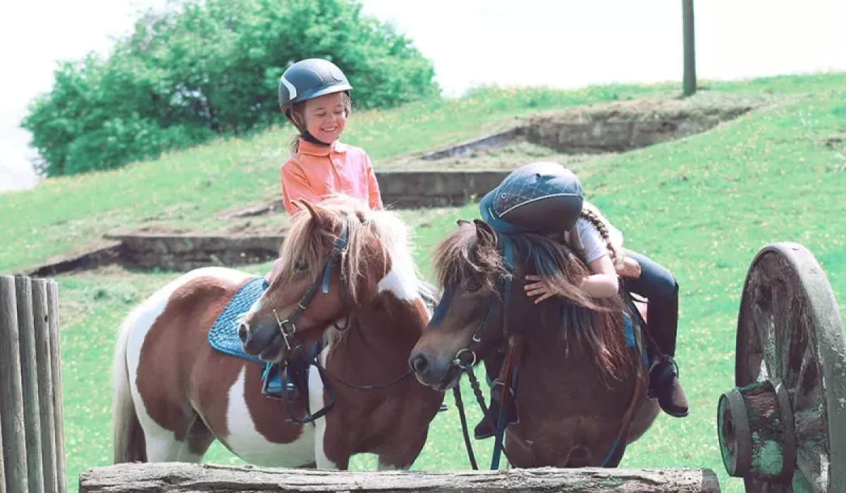 découvrez l'espace cavalier, votre destination dédiée à l'univers équestre : actualités, conseils, équipements et services pour passionnés de chevaux et de l'équitation.