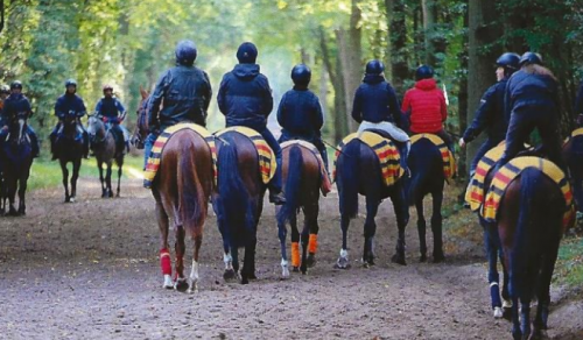 découvrez l'histoire fascinante de l'hippodrome de chantilly et planifiez votre visite pour explorer ce site emblématique du monde des courses hippiques.