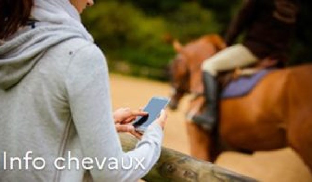 découvrez l'ifce, l'institut de référence en équitation en france : formations, conseils et actualités pour tous les passionnés du cheval, du débutant au professionnel.