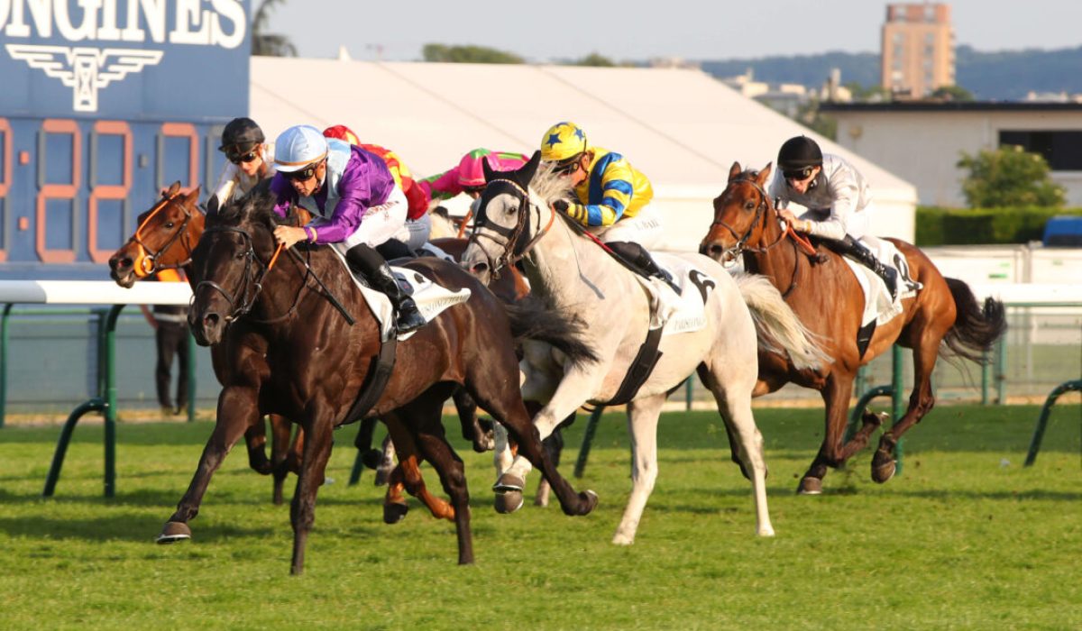 découvrez l'histoire fascinante du jockey club, ses origines, son évolution et les enjeux actuels qui entourent ce cercle réputé du monde hippique et sportif.