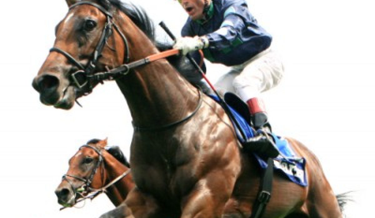 découvrez le métier de jockey : quotidien, exigences physiques et mentales, entraînements et défis pour exceller dans cette passion sportive unique.