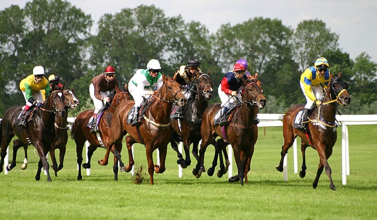 découvrez le rôle essentiel du jockey, ses compétences clés, ses responsabilités sur l’hippodrome et les qualités requises pour exceller dans ce métier passionnant des courses hippiques.