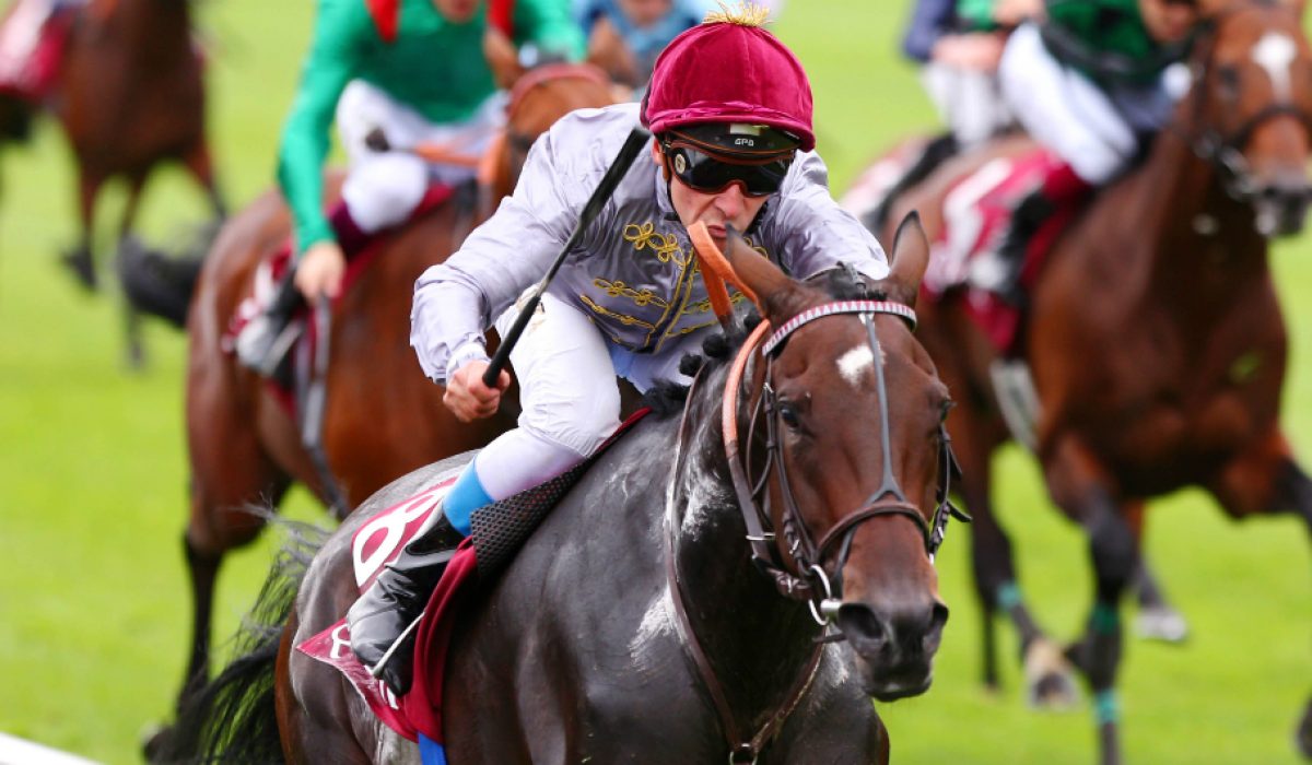 découvrez les parcours légendaires des jockeys célèbres, leurs exploits et histoires fascinantes dans le monde des courses hippiques.