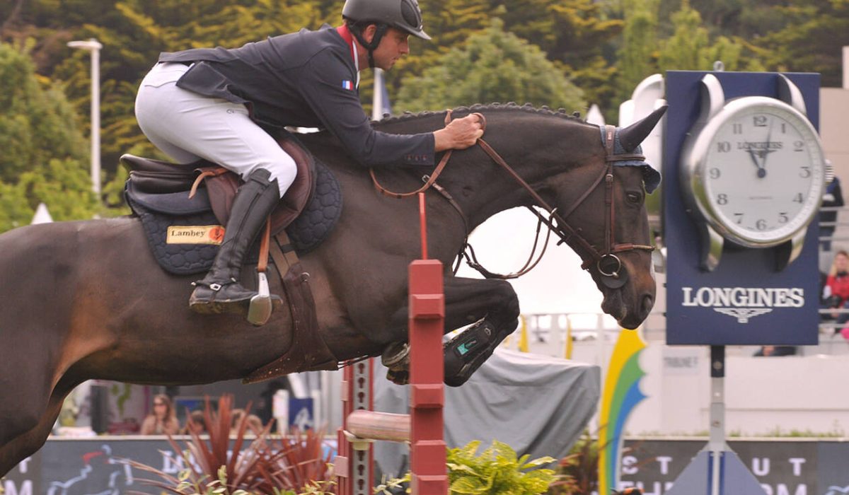 découvrez le jumping la baule, un événement clé d’équitation rassemblant les meilleurs cavaliers pour des compétitions spectaculaires en bord de mer.