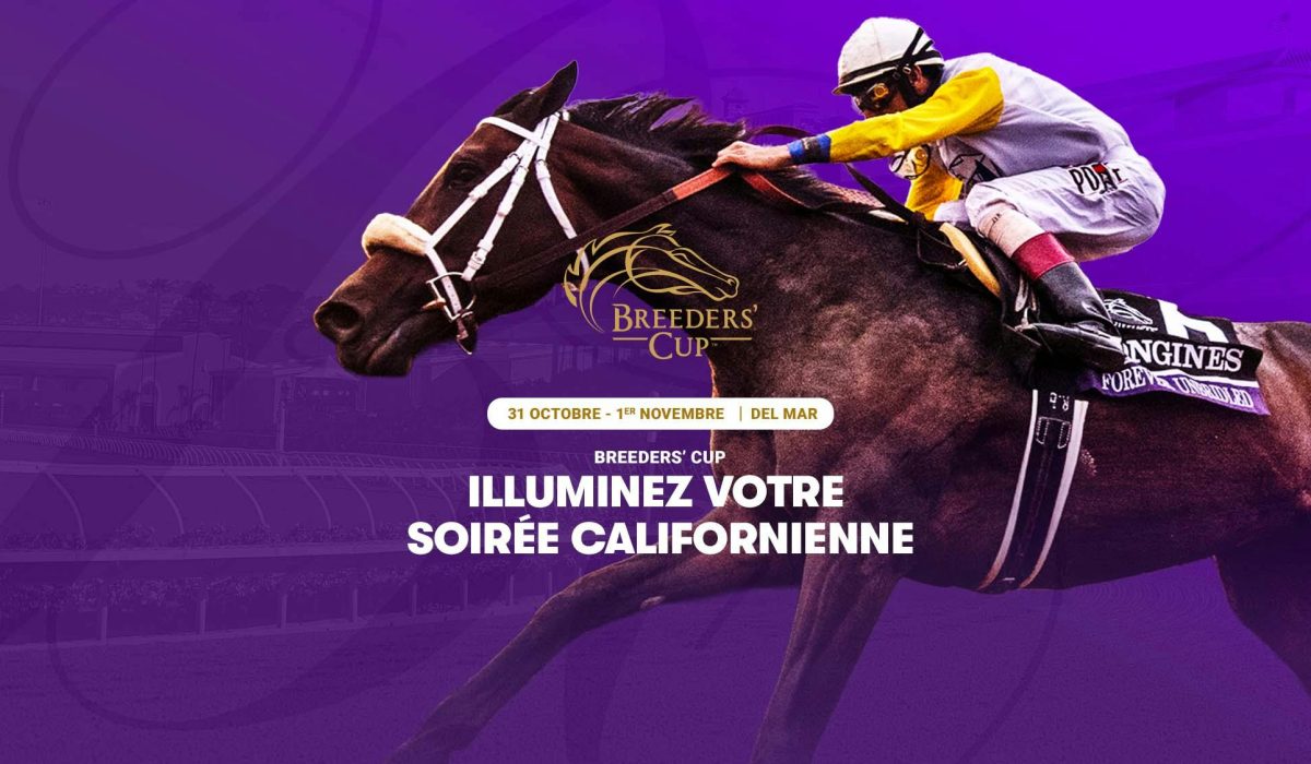 découvrez toutes les infos et conseils essentiels pour parier efficacement à la ligue hippique pmu. analyse, stratégies et astuces pour maximiser vos gains.