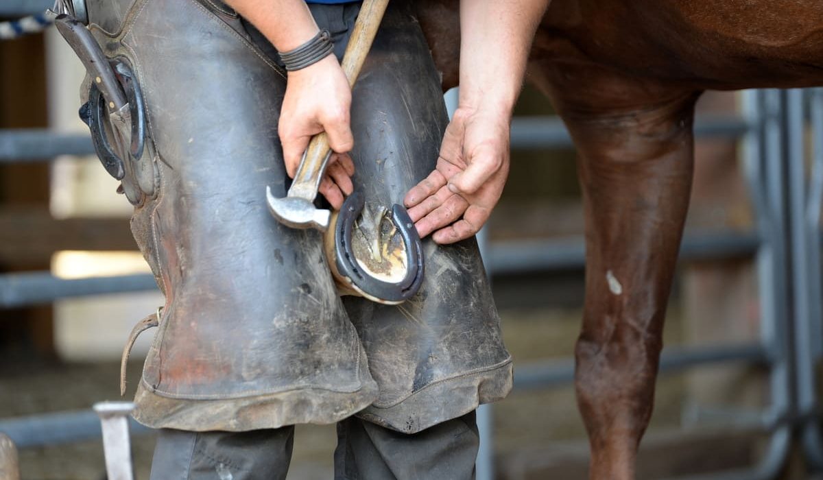 découvrez le métier de maréchal-ferrant : un artisan spécialisé dans le soin, la ferrure et l’entretien des sabots de chevaux, garantissant leur bien-être et leurs performances. pour tout savoir sur ce métier ancestral, ses missions et sa formation.