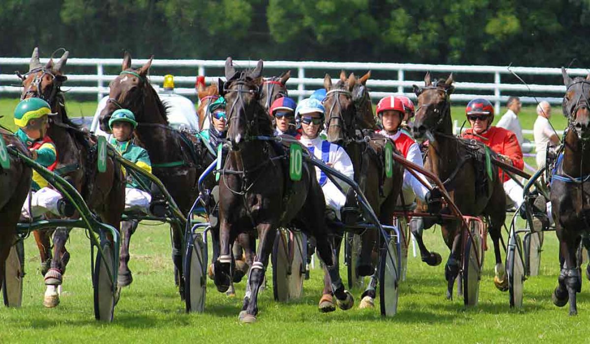 découvrez des stratégies efficaces pour maximiser vos gains aux paris hippiques pmu et augmentez vos chances de succès en alliant analyse et conseils experts.