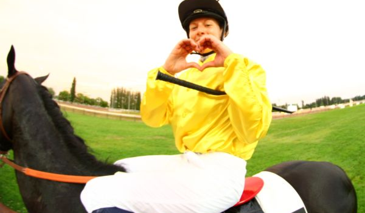 découvrez qui est le meilleur jockey attelé actuel, ses performances et son palmarès dans le monde des courses hippiques.