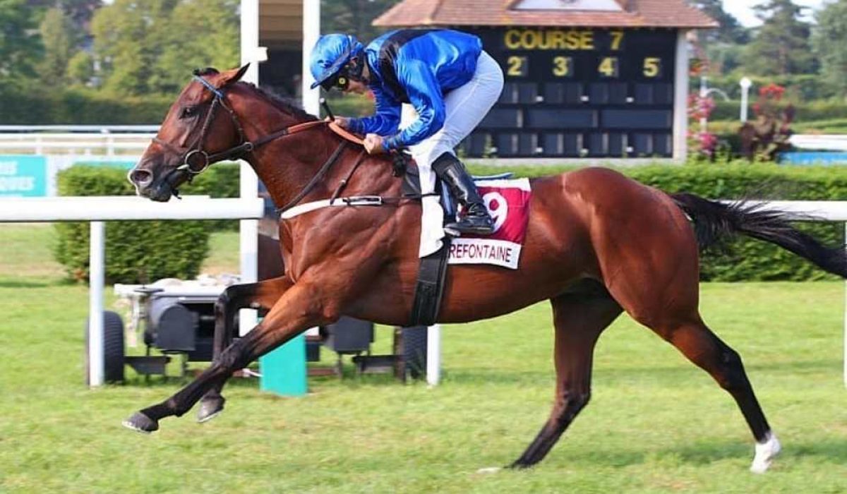 découvrez le meilleur jockey plat actuel, ses performances récentes, statistiques et succès dans les courses hippiques.