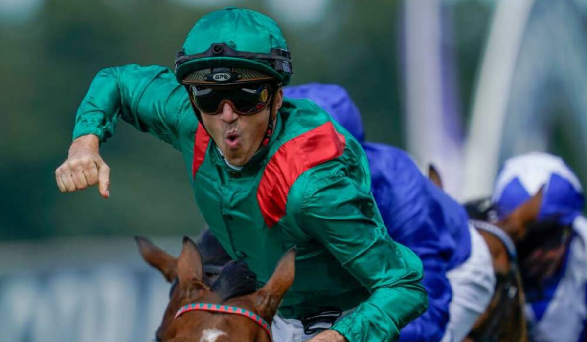 découvrez le classement des meilleurs jockeys de la saison, leurs performances, statistiques et faits marquants. suivez les stars des hippodromes et restez informé des dernières actualités hippiques !