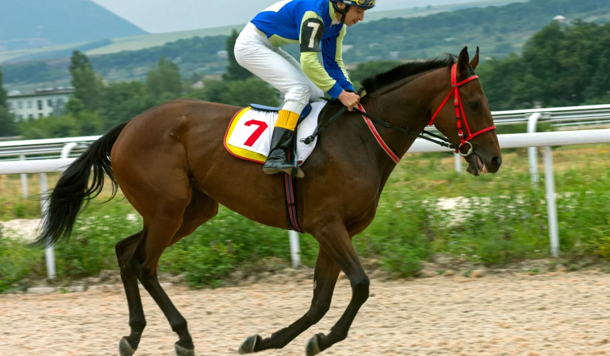 découvrez le métier de démuro jockey : ses rôles essentiels, les compétences requises et les qualités pour réussir dans cette profession passionnante du monde hippique.