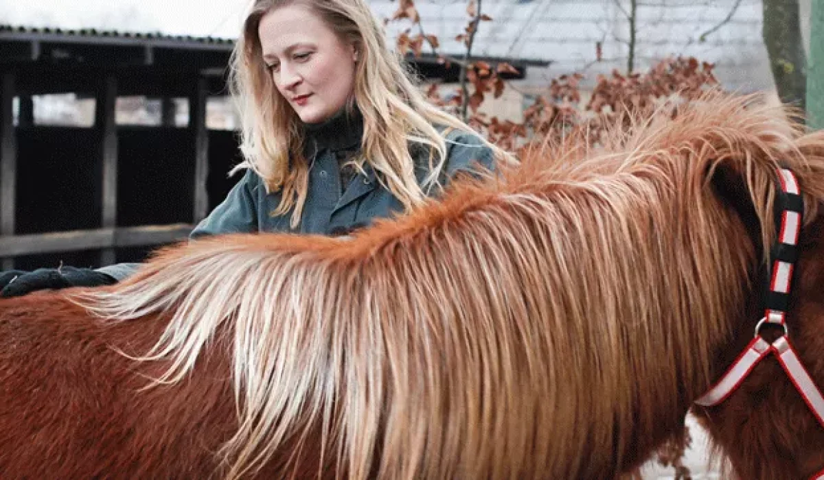 découvrez le métier de palefrenier, une profession équestre passionnante dédiée aux soins quotidiens des chevaux, à l’entretien des écuries et à l’assistance aux professionnels du monde hippique.