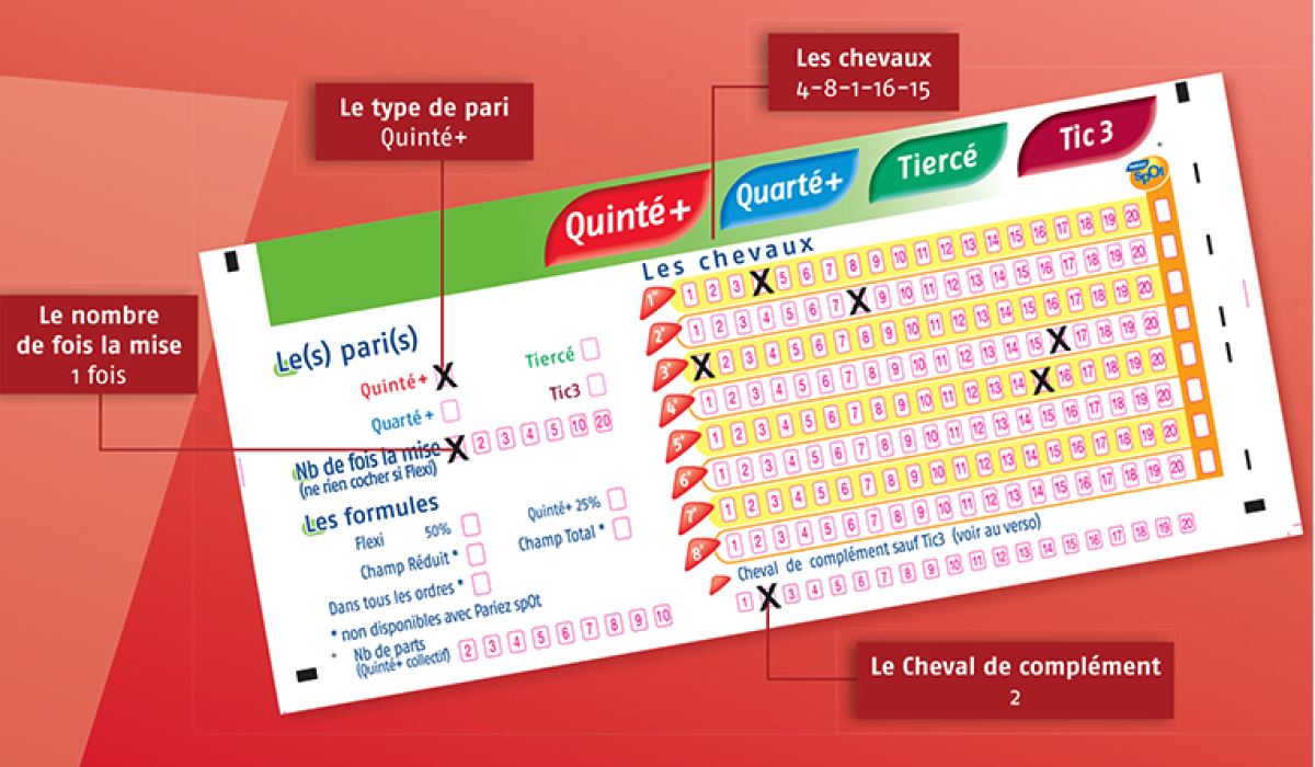 découvrez comment parier au pmu en point de vente : conseils pratiques, étapes faciles et astuces pour maximiser vos chances de gagner.