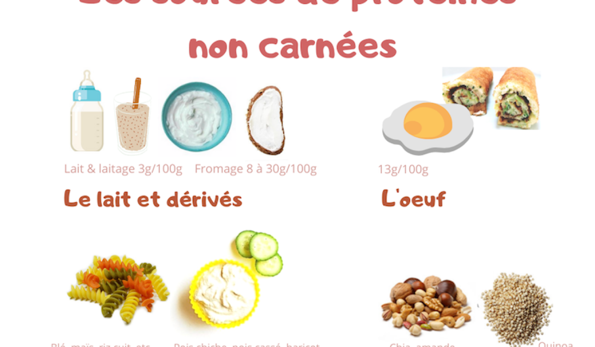découvrez les meilleures sources de protéines pour une alimentation équilibrée : aliments d’origine animale et végétale, conseils et bienfaits pour la santé.